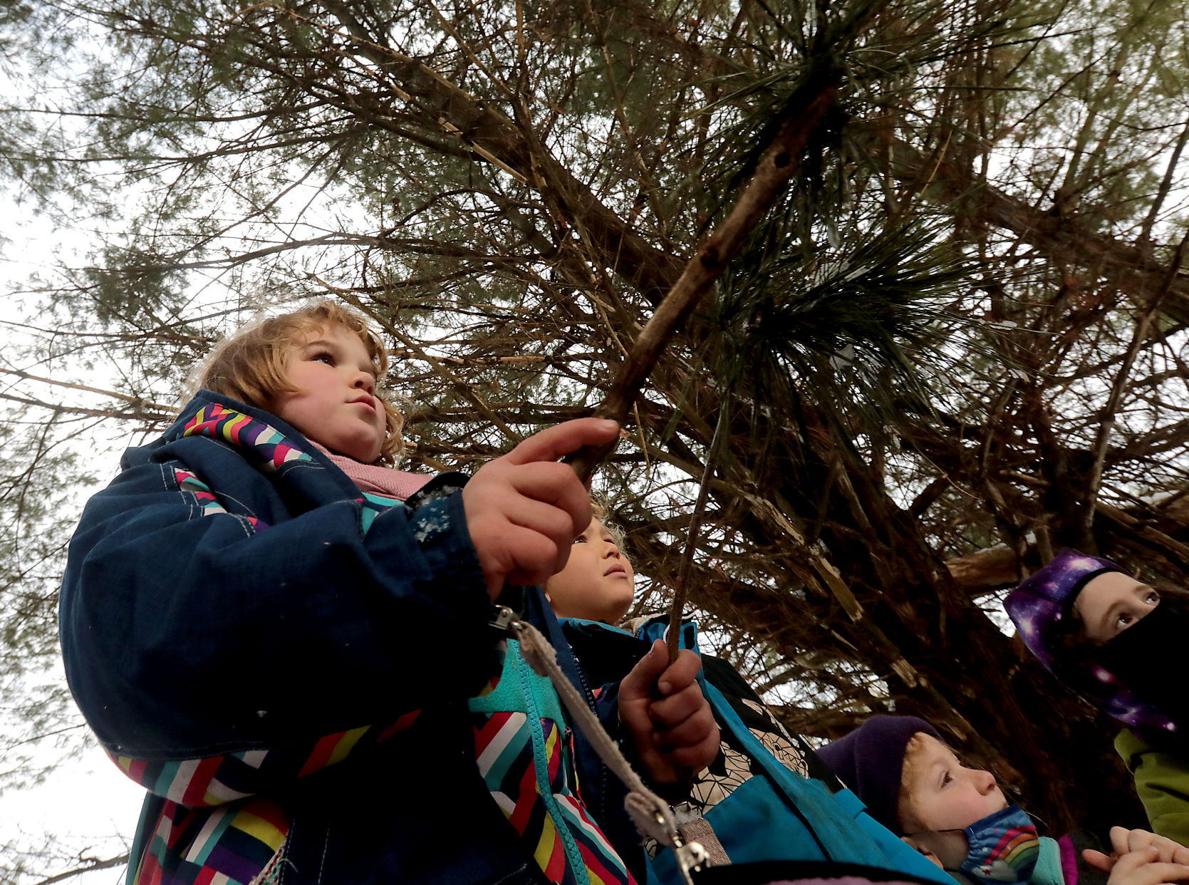 Forest School 12-01142022203609